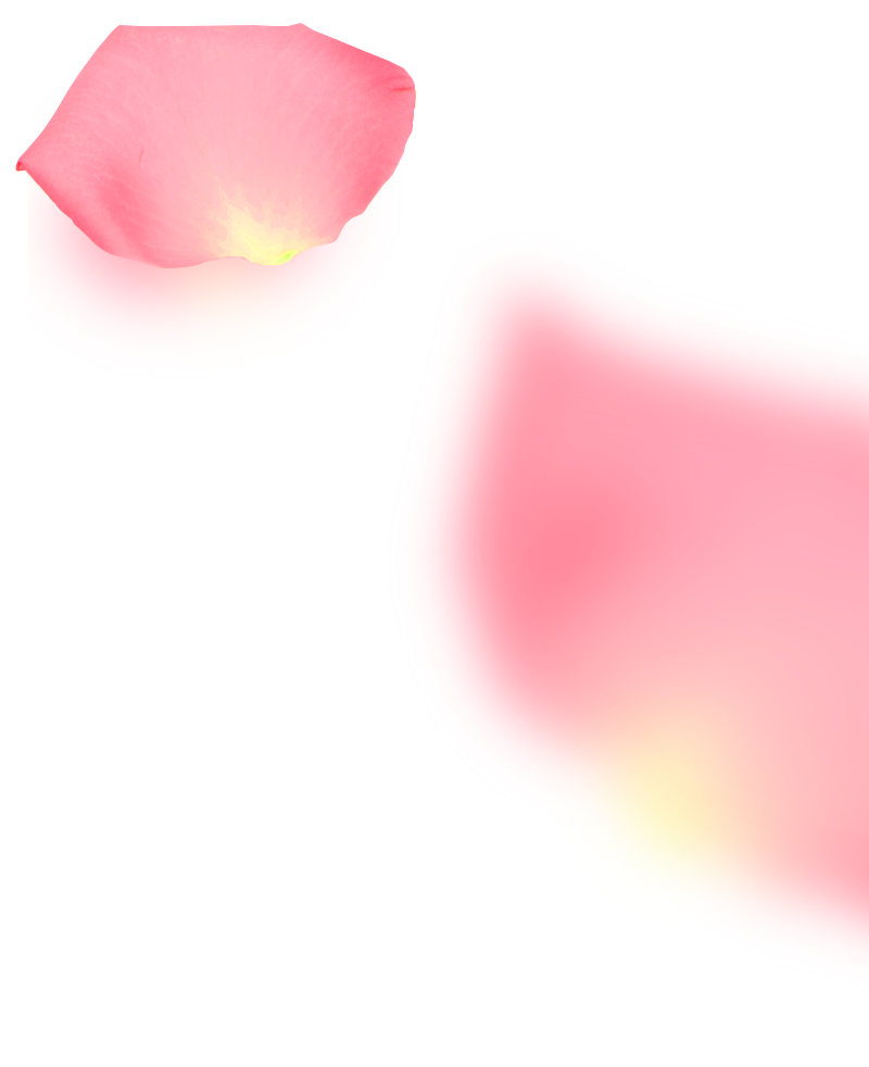 petalos 800x980